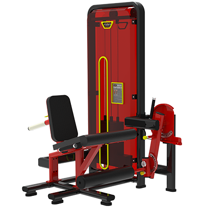 Leg Extension